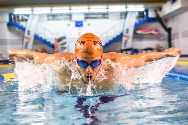 entrenamiento-virtual-natacion
